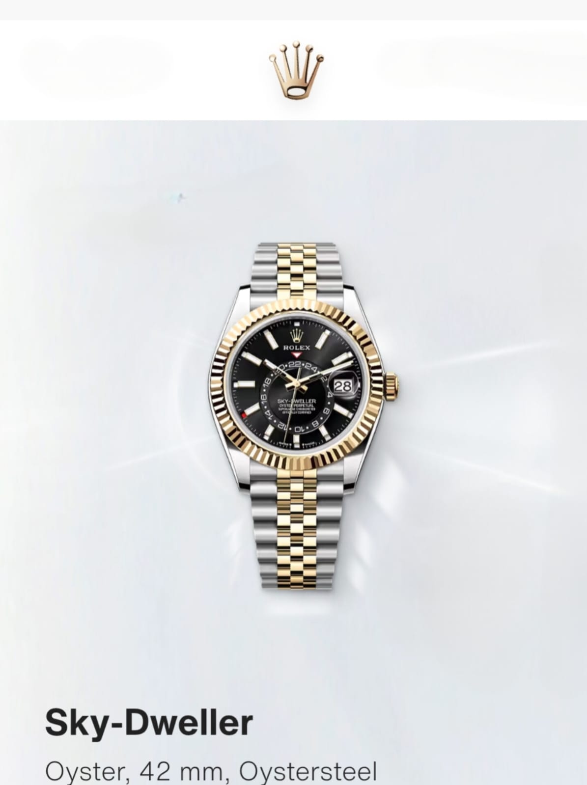 Role_x Oyster Perpetual Sky Dweller Dual Tone Gold-Black